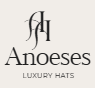 anoeses.shop